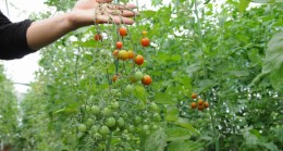 Belediye Yemekhanesinde İsrafa Yer Yok!…