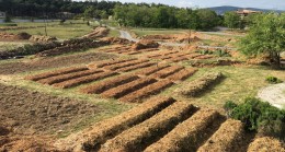 DÜNYAYA DOĞAL BİR ARMAĞAN: “BEYKOZ EKOLOJİK PARK” KURULUYOR!…