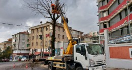 Beykoz’da Budama Mevsimi!…