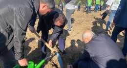 Beykoz’da Fidan Dikimi!…