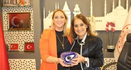 Elif Çelik Meclis Üyesi Aday Adayı!…