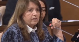 Gülay Demirel, “Riva Deresi ıslahı DSİ’nin İşidir” !…