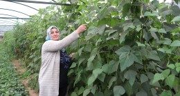Beykoz’da Tarıma Kadın Eli Güç Veriyor!…