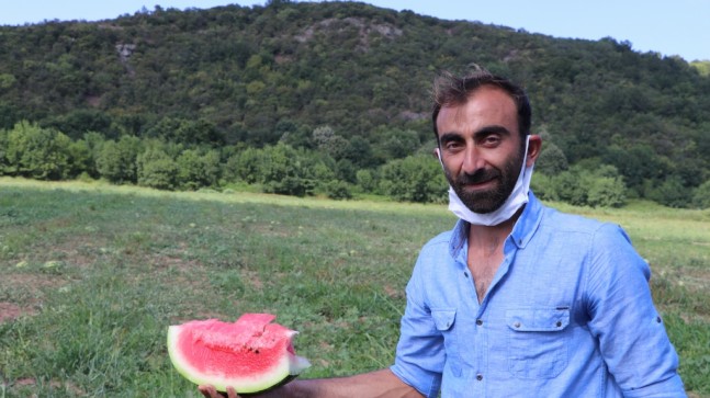 BEYKOZ’DA KARPUZ HASADI BAŞLADI!..