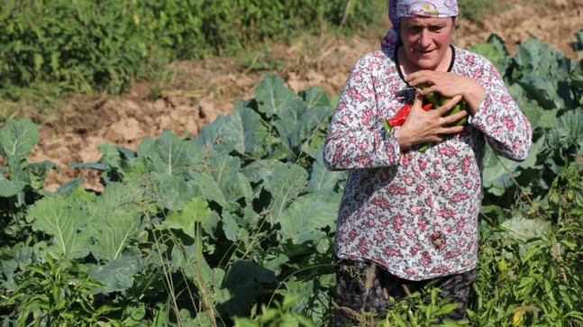 BEYKOZ’DA KENT TARIMI KADIN ÇİFTÇİLERLE KALKINIYOR!…