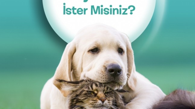 BEYKOZ’UN SEVİMLİ CAN DOSTLARI PROJESİ BAŞLADI!..