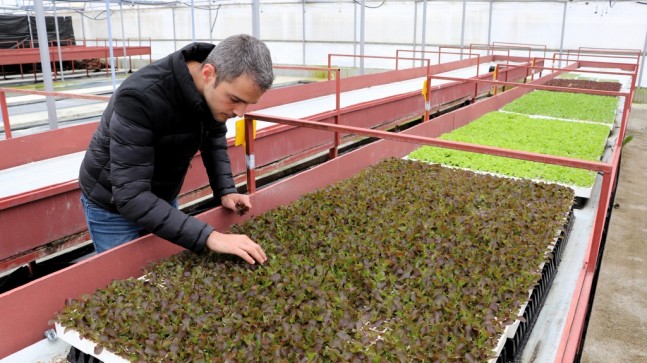 Beykoz’da Çiftçiler Tohumu Getiriyor Fideyi Götürüyor!…