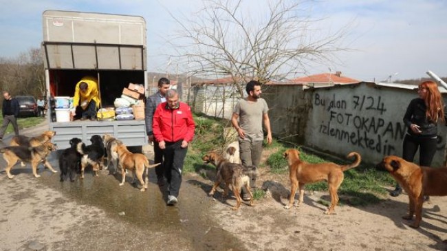 Murat Aydın’dan Mahmuşevketpaşa köyüne hayvan barınağı müjdesi​!..