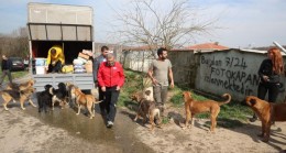 Murat Aydın’dan Mahmuşevketpaşa köyüne hayvan barınağı müjdesi​!..