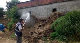 Beykoz’da Sivrisinek İlaçlama Çalışmaları Sürüyor!..