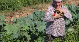 BEYKOZ’DA KENT TARIMI KADIN ÇİFTÇİLERLE KALKINIYOR!…