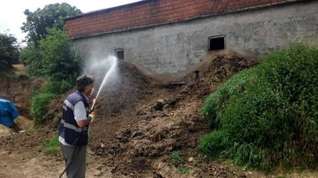 Beykoz’da Sivrisinek İlaçlama Çalışmaları Sürüyor!..