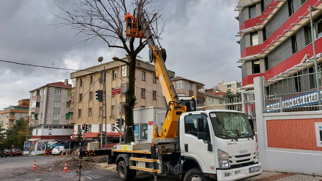 Beykoz’da Budama Mevsimi!…