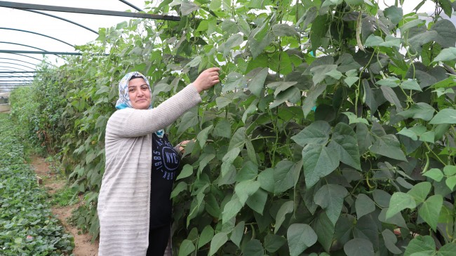 Beykoz’da Tarıma Kadın Eli Güç Veriyor!…