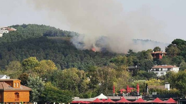 Anadolu Hisarı’nda orman yangını!..