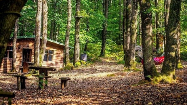 Polonezköy, ‘Kesin korunacak alan’ ilan edildi!…